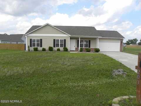 203 Chandler Court, Maysville, NC 28555