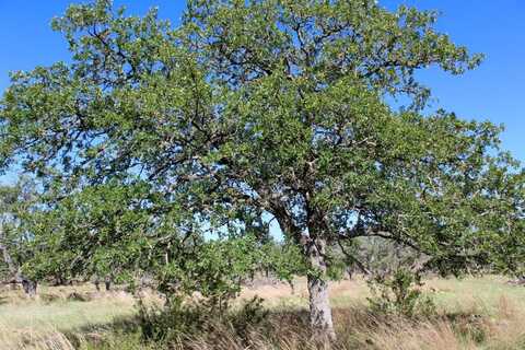165 Apache Trace, Harper, TX 78631