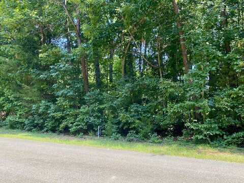 Lot 969 Iron Gate Drive, Baneberry, TN 37890
