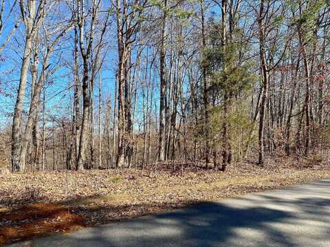 Lot 969 Iron Gate Drive, Baneberry, TN 37890