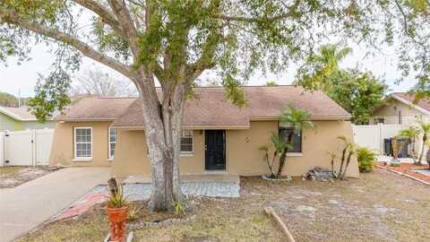 10205 BELLHURST COURT, TAMPA, FL 33615