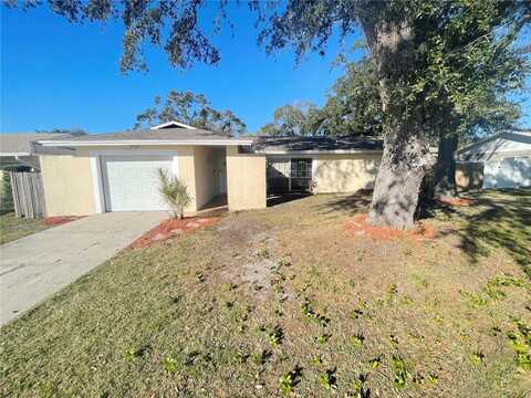 5205 LANDSMAN AVENUE, TAMPA, FL 33625