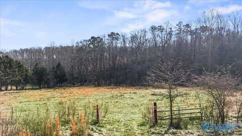 8064 Sand Valley Road, Attalla, AL 35954