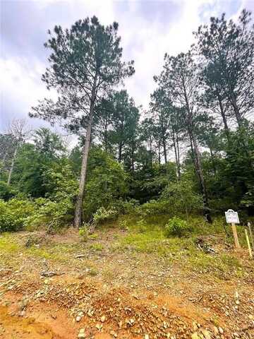 10 Upper Vista Ridge Trail, Broken Bow, OK 74728