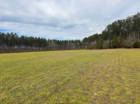 0 County Road 20, Houston, MS 38851