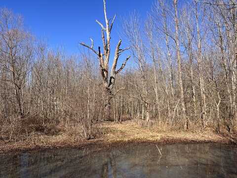 0 CO RD 65, Swaim, AL 35745