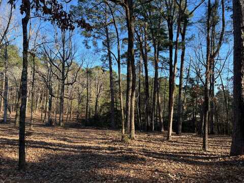 0 Chickamauga Drive, #1, 2 & 4 Rebel Acres, Zwolle, LA 71486