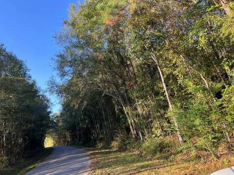 Nhn Chalk Rd, Carriere, MS 39426