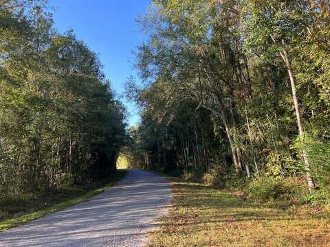 NHN Chalk Rd, Carriere, MS 39426