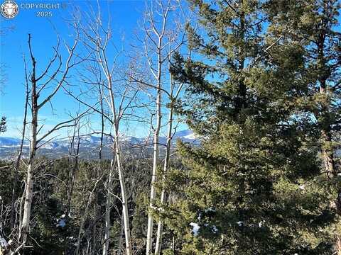 2369 Mountain Estates Road, Florissant, CO 80816