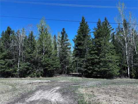 Tbd Town Road 286, International Falls, MN 56649