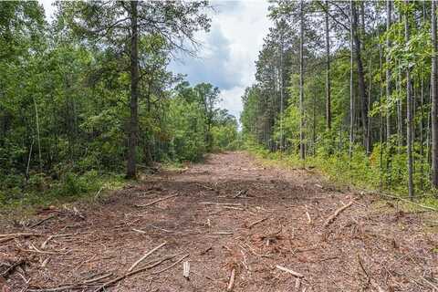 Tract C Tract C-Polaris, Mission Twp, MN 56465