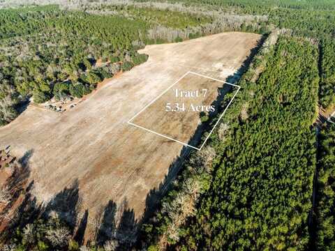 TBD 5.34 Acres Tract 7 Off Flinn Rd, Manning, SC 29102