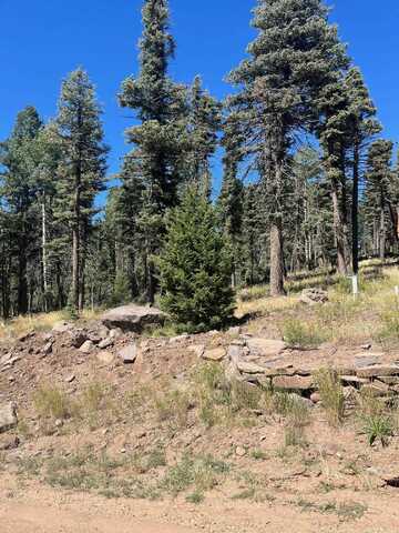 Lot 1246 El Camino Real, Angel Fire, NM 87710