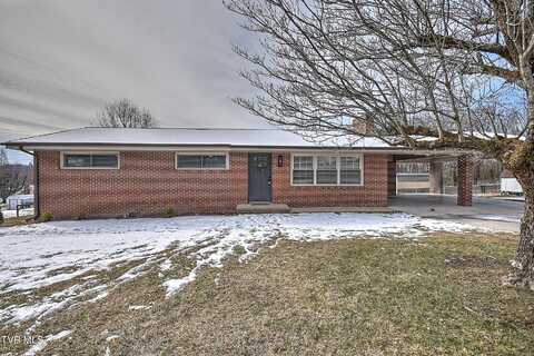 351 Savoy Drive, Blountville, TN 37617