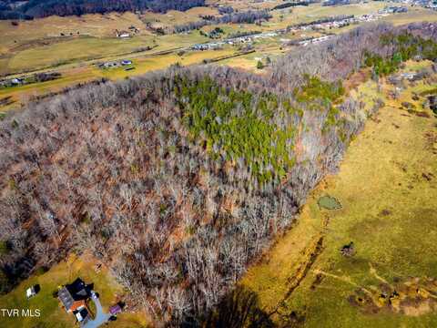 Tbd Carters Valley Loop, Rogersville, TN 37857