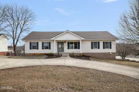 513 Crystal Springs Circle, Gray, TN 37615