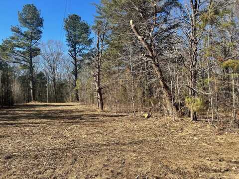 Tract 2 Foust Rd, MANSFIELD, TN 38236