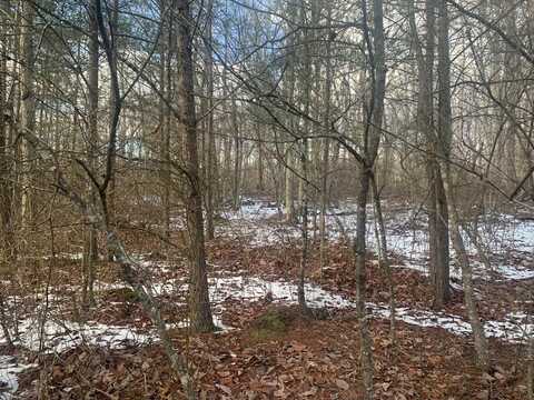 Lot 348 Tree Top Circle, Spencer, TN 38585