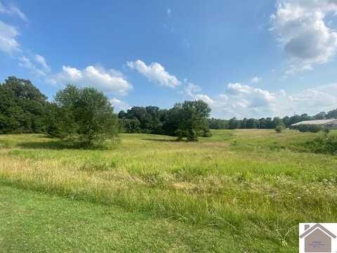 8.4 Acres on US Hwy 641, Benton, KY 42025