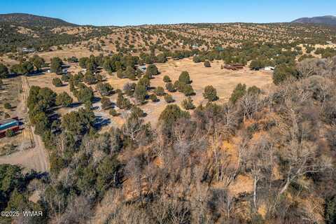 49837 AZ Hwy 288, Young, AZ 85554