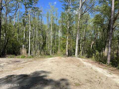 266 Bingham Road, South Mills, NC 27976