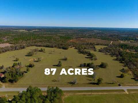 2240 W Highway 90, Mauk, GA 31058