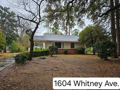 1604 Whitney Avenue, Albany, GA 31707