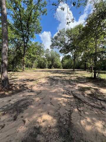 Tbd Lot 2 Deerwood Drive, Plantersville, TX 77363