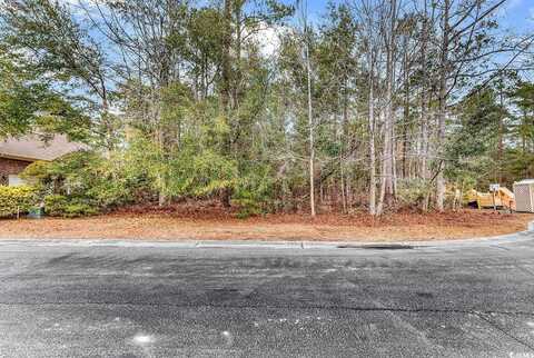 67 Barlowe Ct., Murrells Inlet, SC 29576