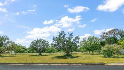 307 Frederick Rd, Fredericksburg, TX 78624
