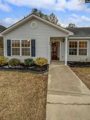 559 Old Bush River Road, Chapin, SC 29036