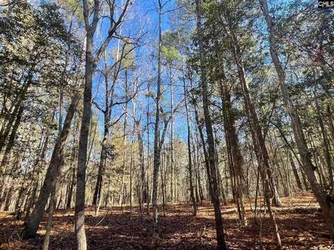 Lot A Creek Road, Chapin, SC 29036