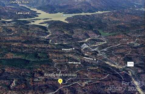 Birddog Boulevard unit: 328, Lake Lure, NC 28746