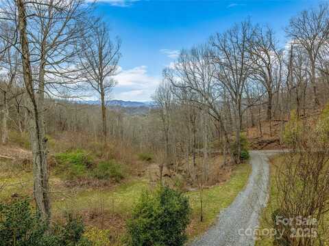 116 Cracker Trail, Clyde, NC 28721