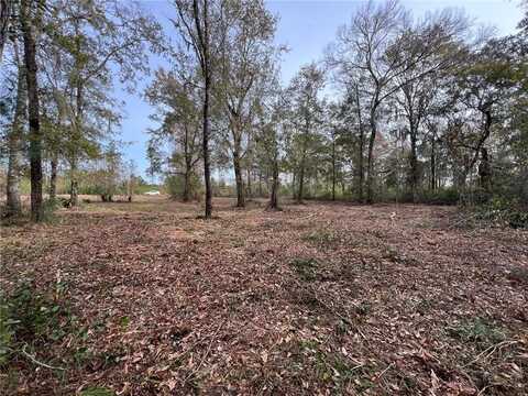 597 Salt Creek Way E, Brunswick, GA 31523