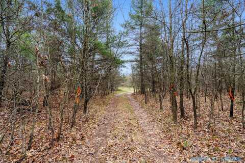 Vl Whitehall Road, Whitehall, MI 49461