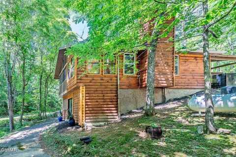 1663 S Mountain View Road, Sevierville, TN 37876