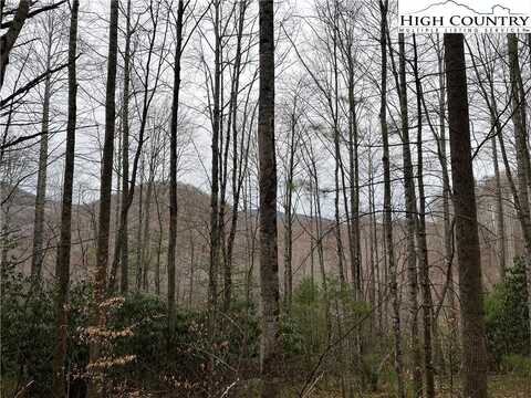 17 Solitude Lane, Todd, NC 28684