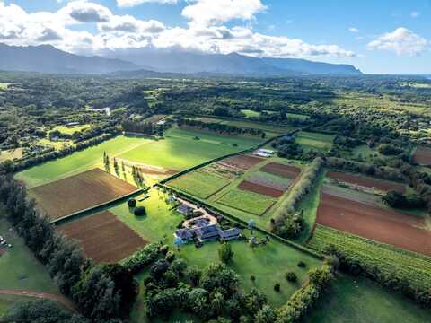 4469 WAIAKALUA ST unit: F, Kilauea, HI 96754