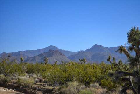 2641 S Javalina Rd, Yucca, AZ 86438