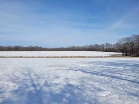 0 Honey Locust Dr. (20+/- Acres), Jonesburg, MO 63351