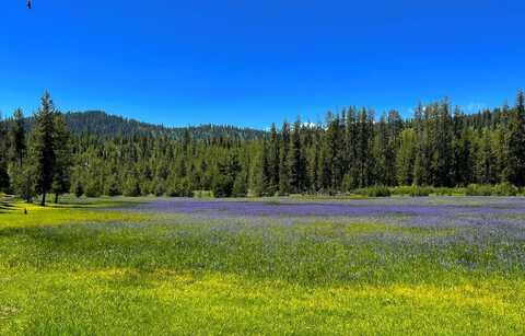 90 Ridgeview Drive, Donnelly, ID 83615