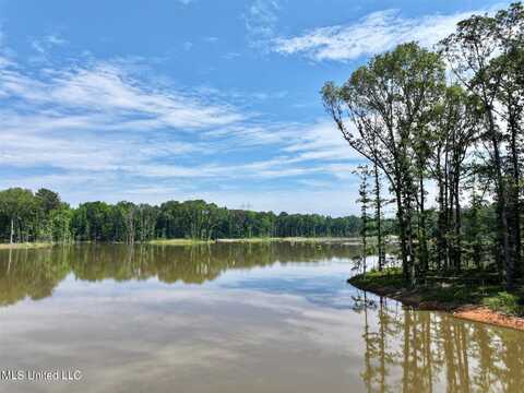 Springwood Trail, Flora, MS 39071