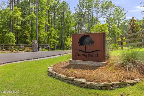 Springwood Trail, Flora, MS 39071
