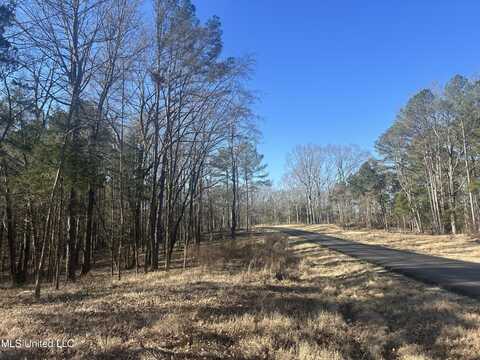 Springwood Trail, Flora, MS 39071