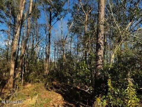 Piute Lot 9 Drive, Kiln, MS 39556