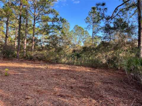 Tbd CHINABERRY WAY, EUSTIS, FL 32736