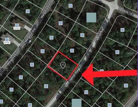 340 NATHAN AVENUE, LEHIGH ACRES, FL 33974