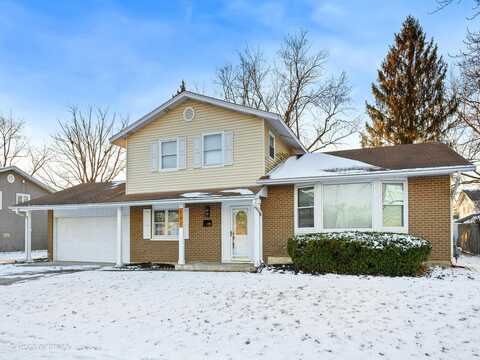 662 N ROBINSON Drive, Palatine, IL 60074